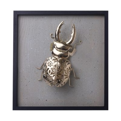 Placa Escarabajo Ciervo Gold 1