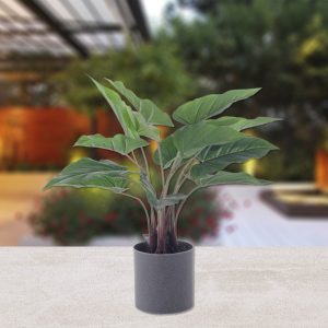 Planta Artificial Alocasia Verde 1